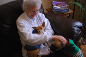 Grandma and the pups